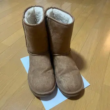 VANS 베이지 어그 부츠