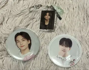 SEVENTEEN 정한 하니 키링 캔배치