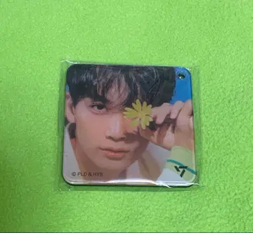 SEVENTEEN 정한 STARFOX 아티스트 초코 마그넷