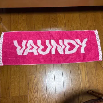 VAUNDY 로고 타월 핑크