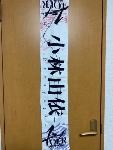 코바야시 유이 1st tour 최애 타월 & 응원봉