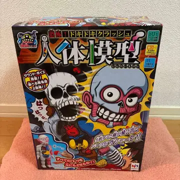 방과후 괴담 시리즈 공포! 두근두근 크러쉬 인체 모형