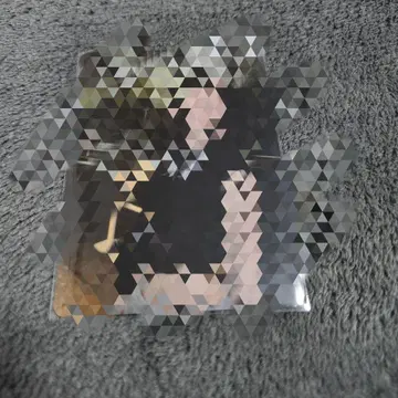 시크릿 아사미 메이 굿즈 트레이딩 카드 생일 굿즈 메이메인노카이