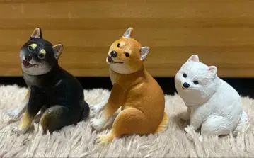 굼벵이 시바견 블랙 시바견 포메라니안 3개 세트