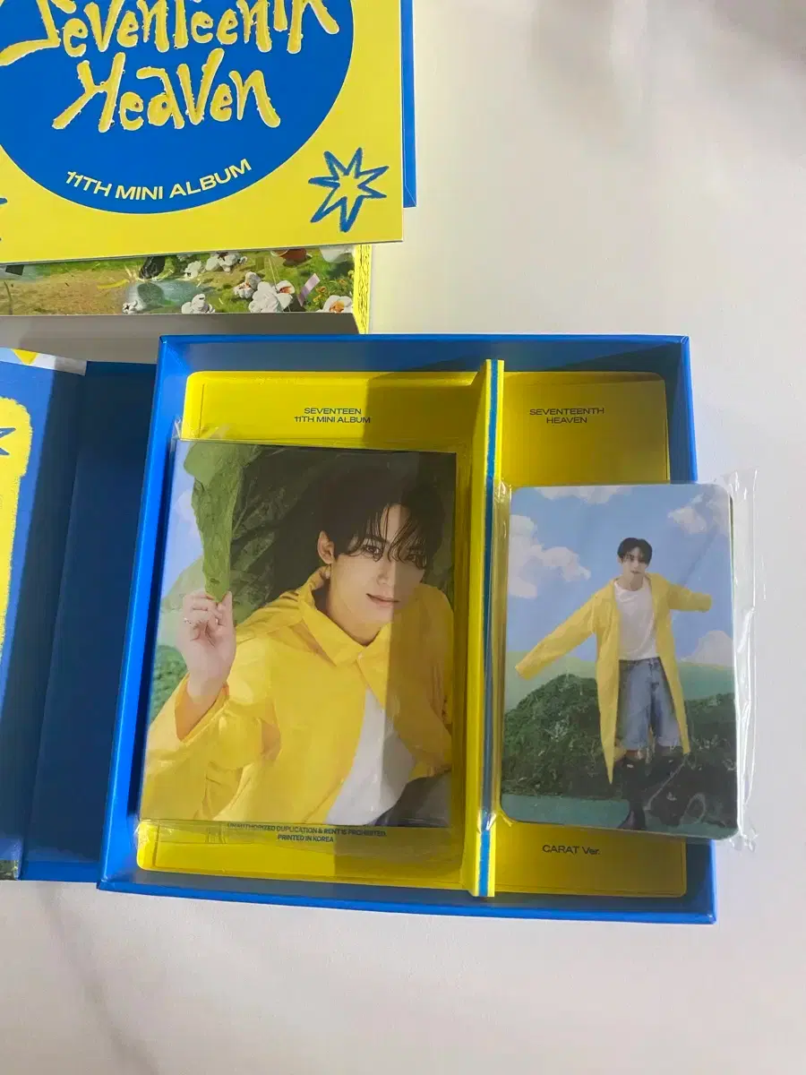 Seventeen Carat Vahn Mingyu binder + choose 2 pocas