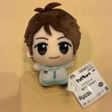 하이큐 SD 인형 오이카와 토오루 봉제 인형
