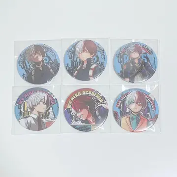 히로아카 토도로키 쇼토 캔뱃지 6개