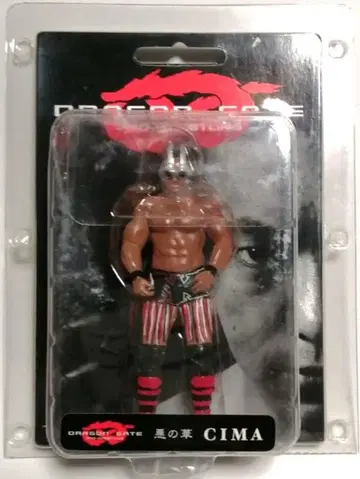 [ RUN'A ] DRAGON GATE 악의 꽃 CIMA