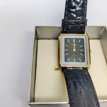 RADO 크로노 손목시계 블랙 DIASTAR BAMBI 19