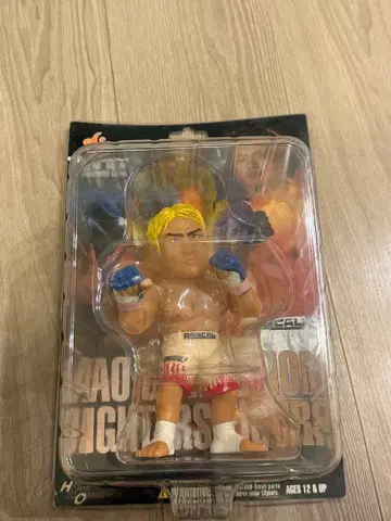 레어 타케노리 고미 피규어 HAO COLLECTION