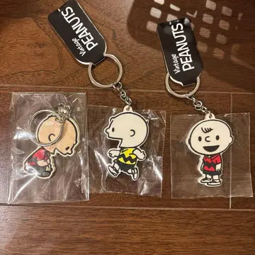 찰리 브라운 키링 세트