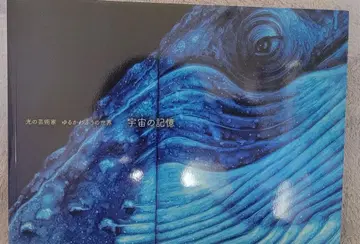 우주의 기억 아트북 유루카와후