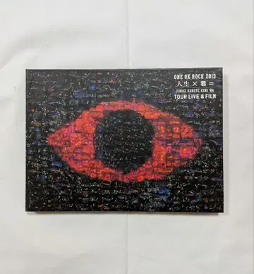 ONE OK ROCK 인생 x 너= Japan tour LIVE
