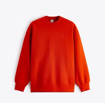 ZARA 오렌지 크루넥 맨투맨(s)