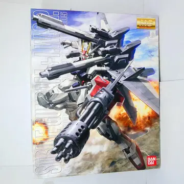 스트라이크 건담 + I.W.S.P. MG 1/100