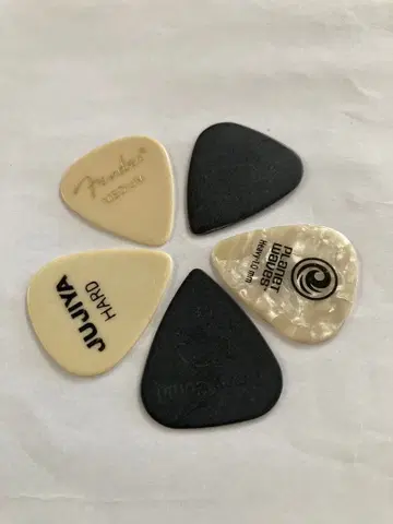 펜더 외 기타 피크 5개 세트