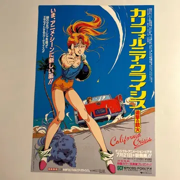 [ 캘리포니아 크라이시스 ] 비디오 출시 고지용 플라이어 전단지