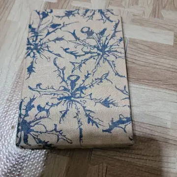 봄과 슈라 미야자와 겐지 레어