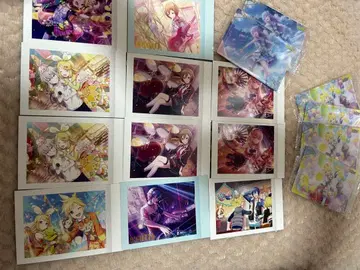 프로세카 파샤코레 묶음 판매