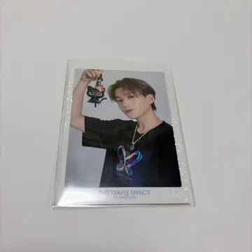 야기 유세이 포토 카드 시크릿