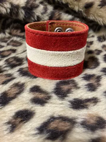 리스트 밴드 PUNK 조니 로튼