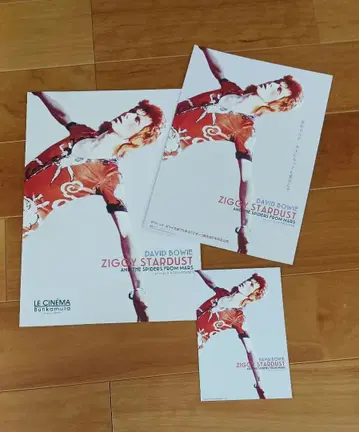 Ziggy Stardust 엽서와 팜플렛 세트