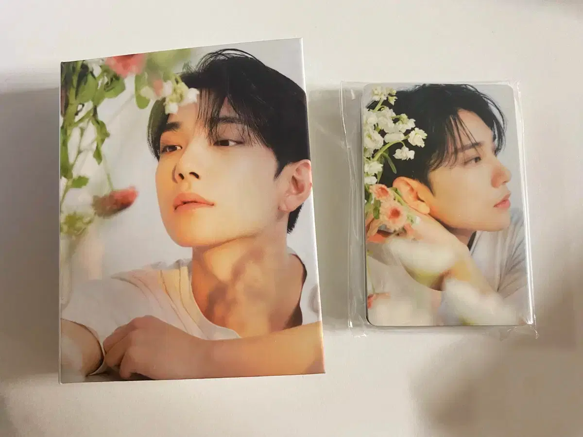 Seventeen best album Carat vahn Joshua binder + 2 chosen pocas