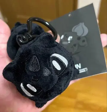 프래그먼트 포켓몬 이상해씨