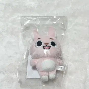 DAY6 DENIMALZ 필 원필 봉제 인형 키링