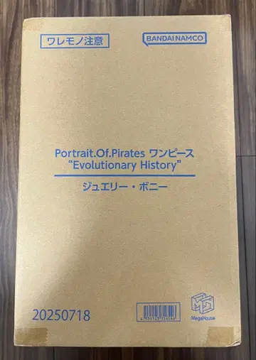 P.O.P 원피스 'Evolutionary History' 보니