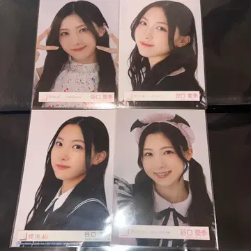 사쿠라자카46 브로마이드 타니구치 아이리 요리 묶음 판매