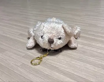 타리즈커피 베어풀 패스케이스