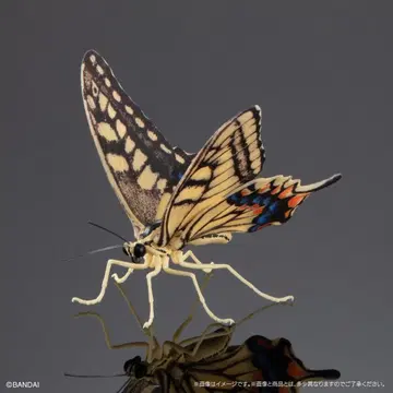 호랑나비 온라인판