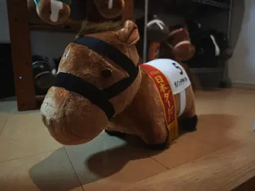 다논데사이르 서러브레드 컬렉션 복슬복슬 BIG