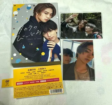 타카라노비이도로 DVD-BOX