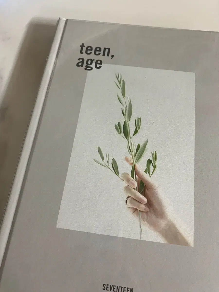 Seventeen teen,age album + choose 2 pocas