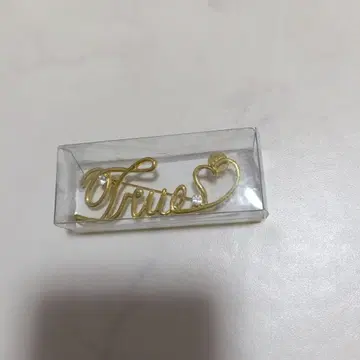 후지이 후미야 라이브 굿즈 투어 굿즈 True Love 브로치 핀