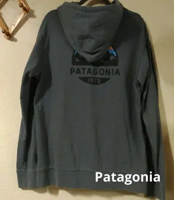 파타고니아 후드티
