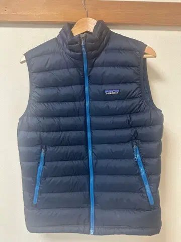 patagonia 남성용 S 네이비 다운 베스트