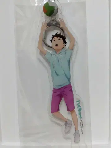 하이큐!! 오이카와 토오루