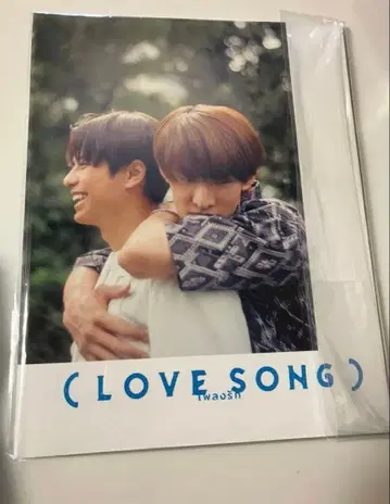 영화 (LOVE SONG) 러브송 팜플렛 모리사키 윈 무카이 코지