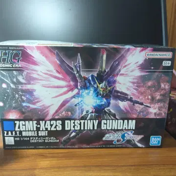 HG 1/144 ZGMF-X42S 데스티니 건담
