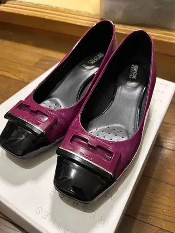 GEOX 퍼플 펌프스