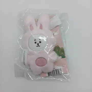 BTS JIN/BT21 K-TOKKI 시리즈 RJ 봉제 인형 키링