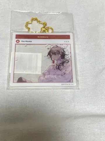 복스 아쿠마 아크릴 키링