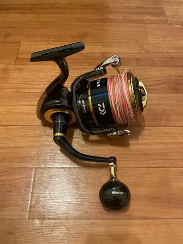 다이와 솔티가 20000P