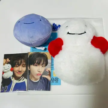 BOYNEXTDOOR 운학 푸넥도 운아기