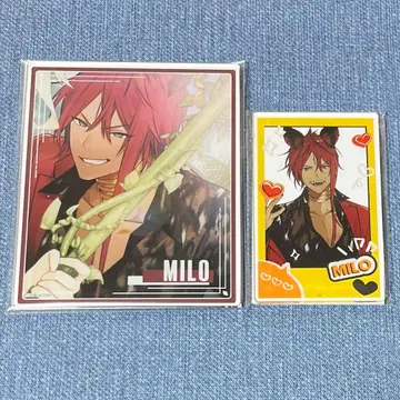 하니브 오토메이트 아쿠브로 미로 아쿠카 AGF Honey Vibes