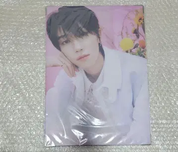 SEVENTEEN ALWAYS YOURS 프리미엄 사진 THE8