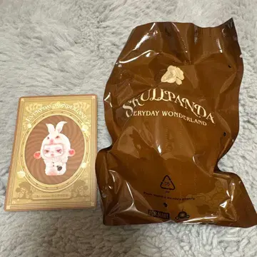SKULLPANDA EVERYDAY WONDERLAND 피규어